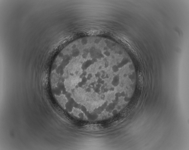 X0000113110499200909251055