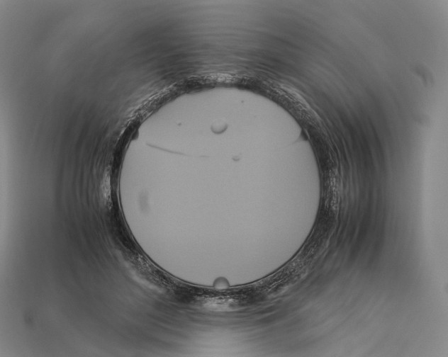 X0000113110500200909251055