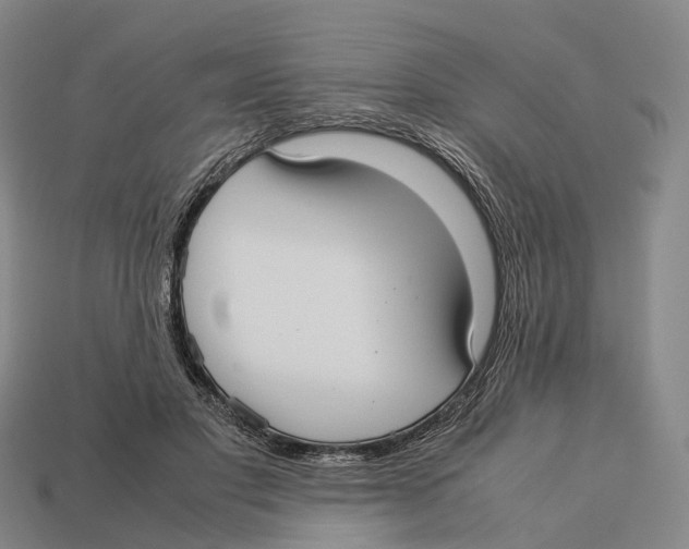 X0000113110501200909251055
