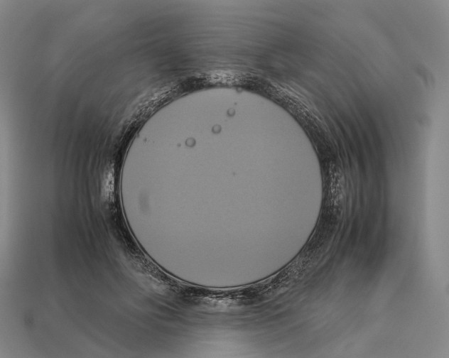 X0000113110502200909251055
