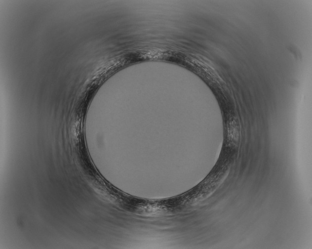 X0000113110503200909251055