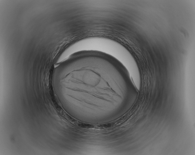 X0000113110504200909251055