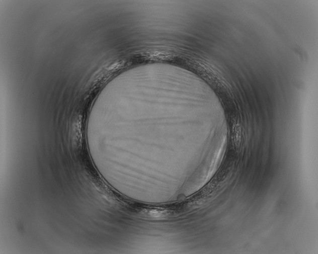 X0000113110506200909251055
