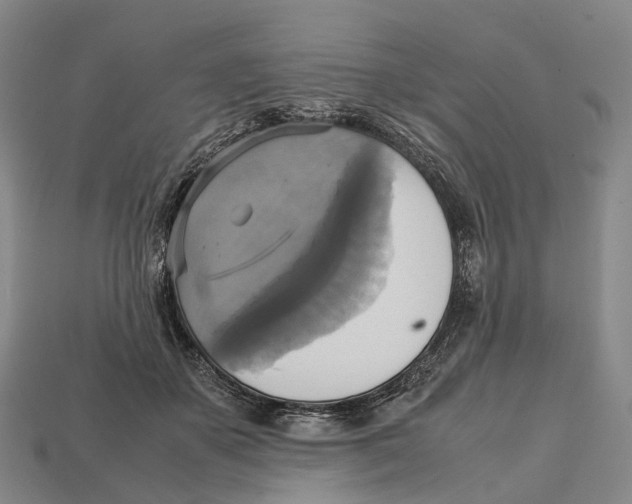 X0000113110507200909251055