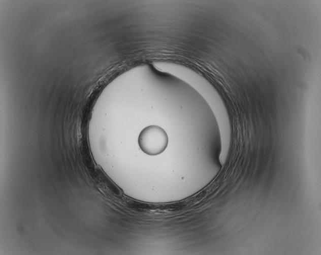 X0000113110508200909251055