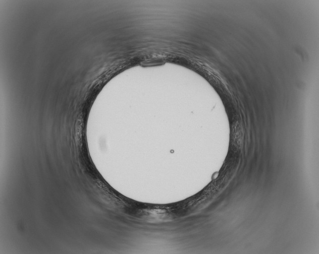 X0000113110509200909251055