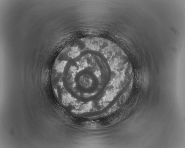 X0000113110511200909251055