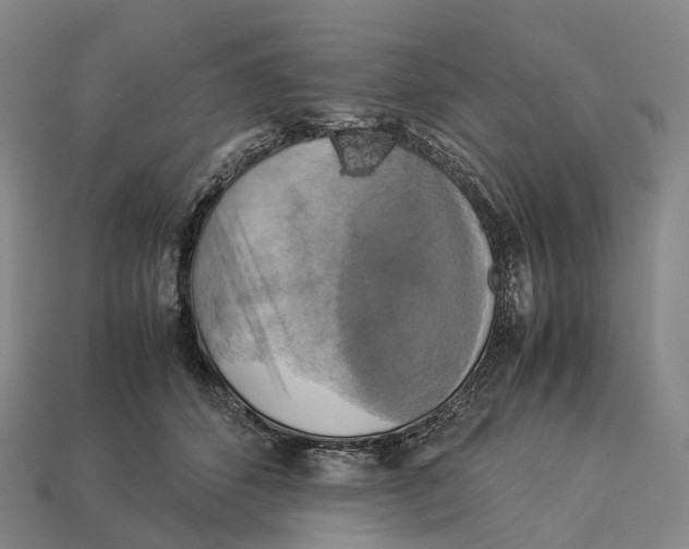 X0000113110512200909251055