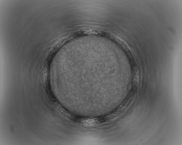 X0000113110513200909251055