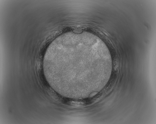 X0000113110515200909251055