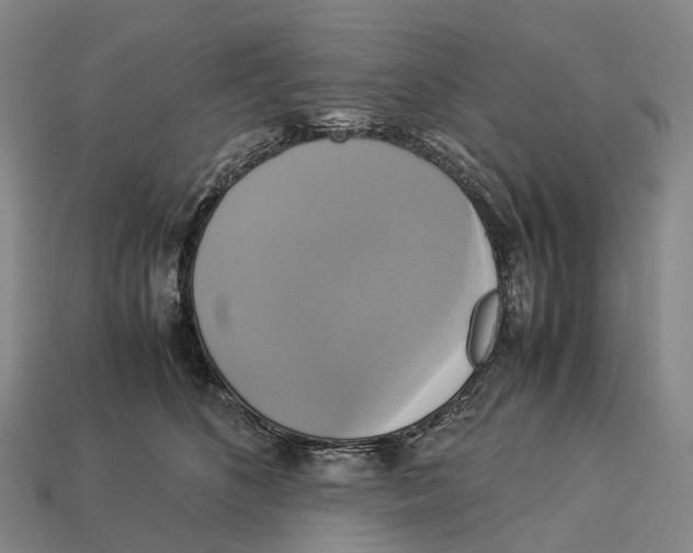 X0000113110516200909251055