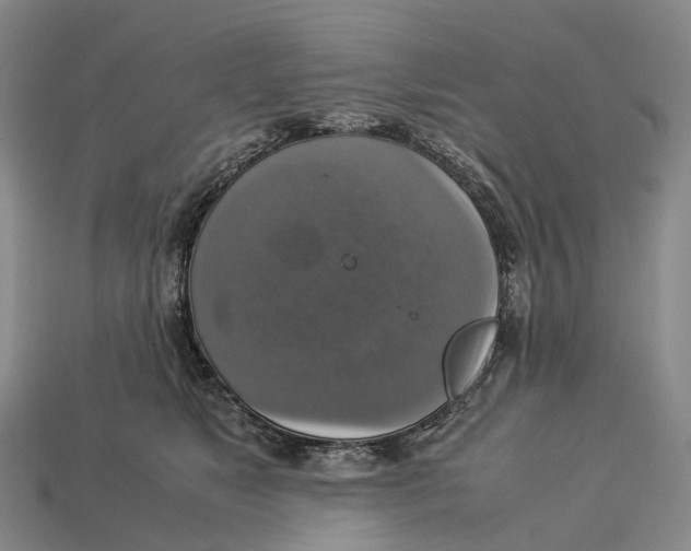 X0000113110517200909251055