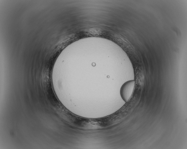 X0000113110518200909251055