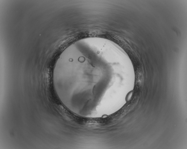 X0000113110519200909251055