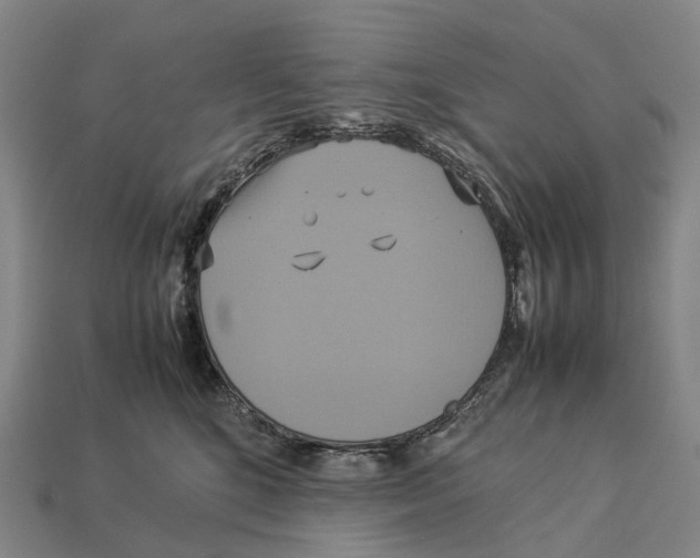 X0000113110520200909251055
