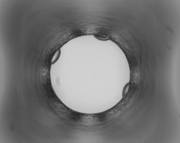 X0000113110521200909251055