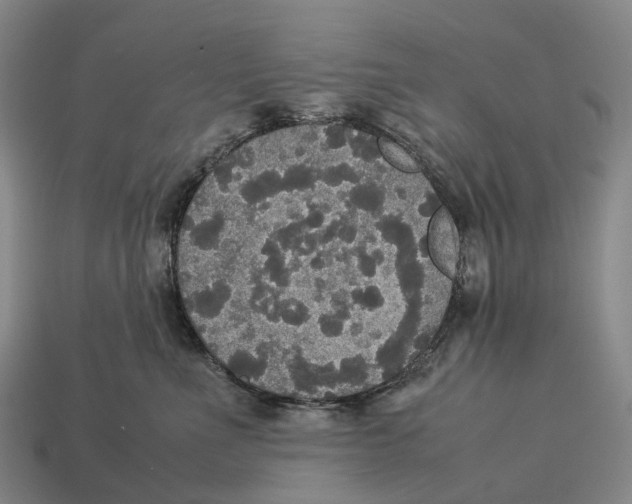 X0000113110523200909251055