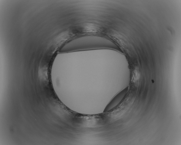 X0000113110524200909251055