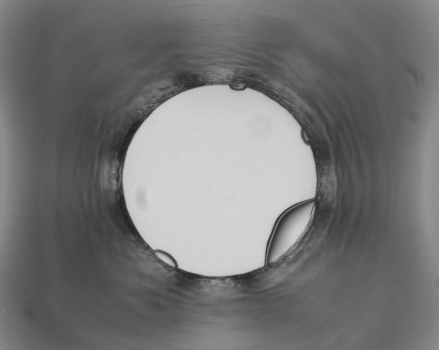X0000113110525200909251055