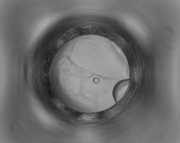 X0000113110526200909251055