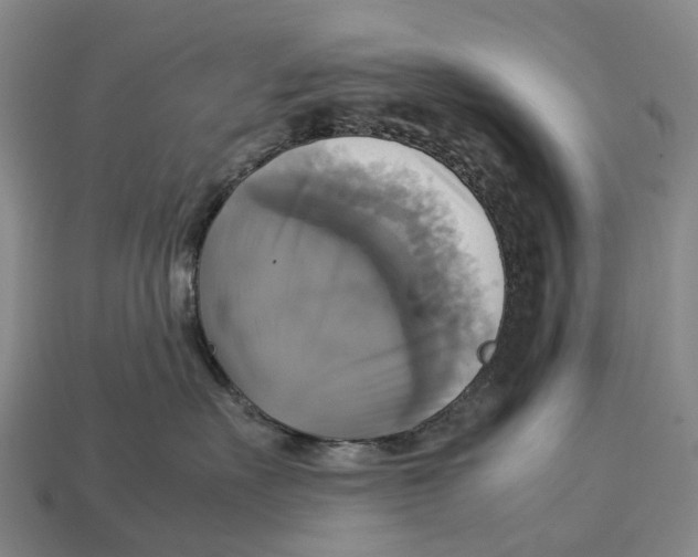 X0000113110527200909251055