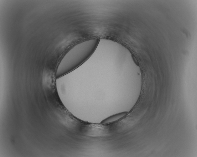X0000113110528200909251055