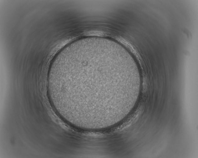 X0000113110529200909251054