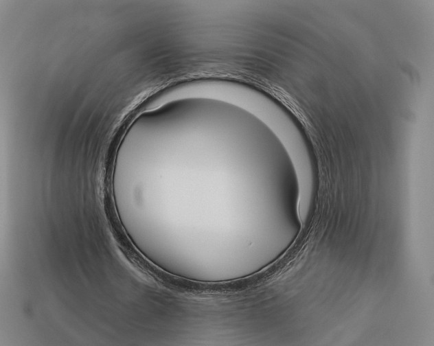 X0000113110530200909251054