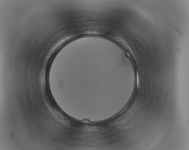 X0000113110531200909251054