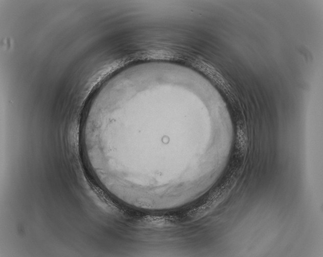 X0000113110534200909251054