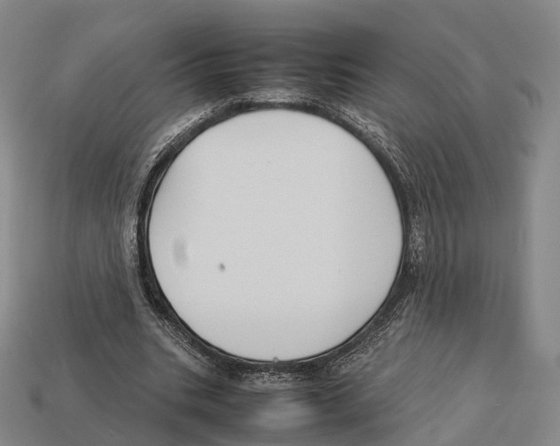 X0000113110535200909251054