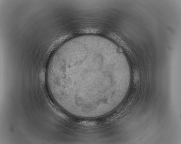 X0000113110537200909251054