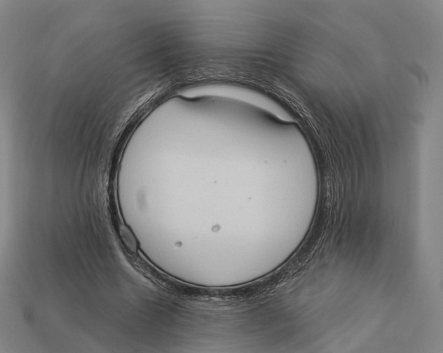X0000113110538200909251054