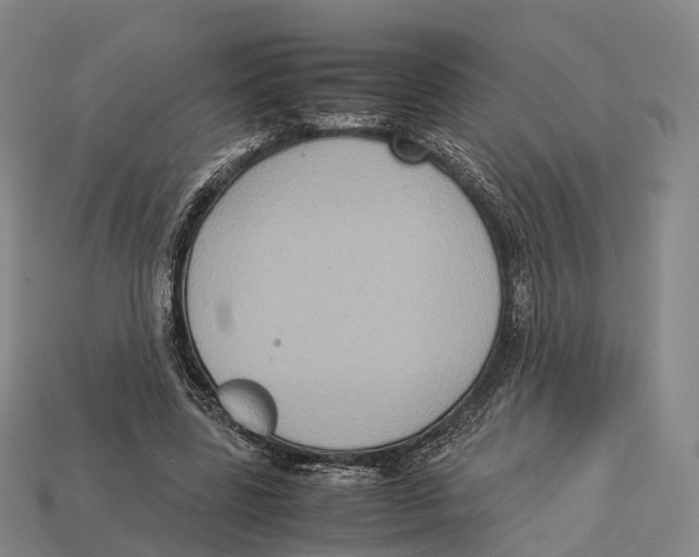 X0000113110539200909251054
