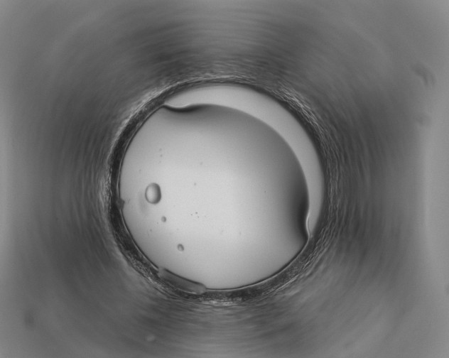 X0000113110540200909251054