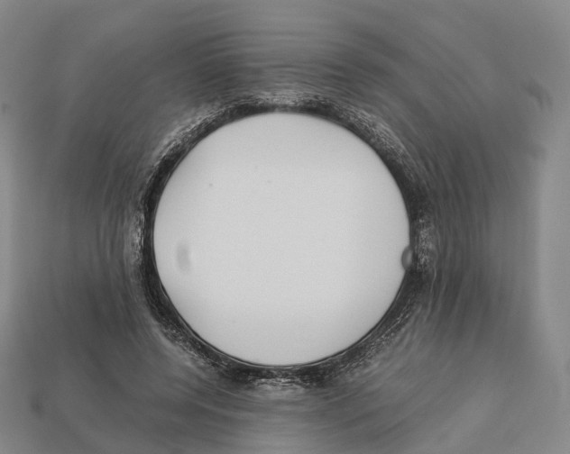 X0000113110544200909251054