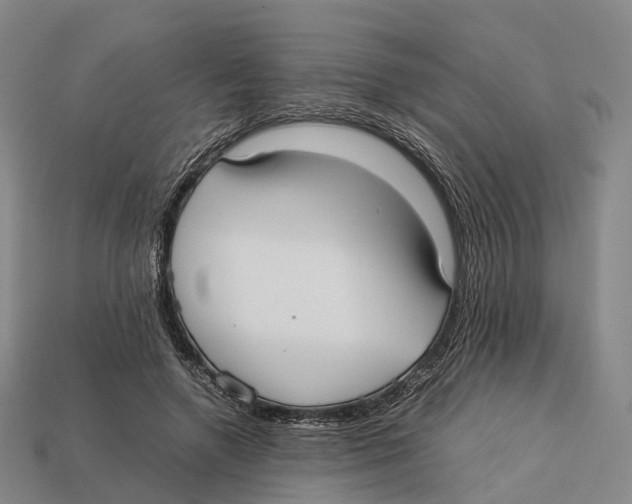 X0000113110546200909251054