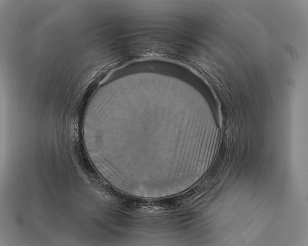 X0000113110547200909251054
