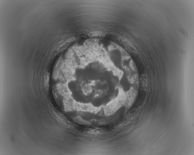 X0000113110550200909251054