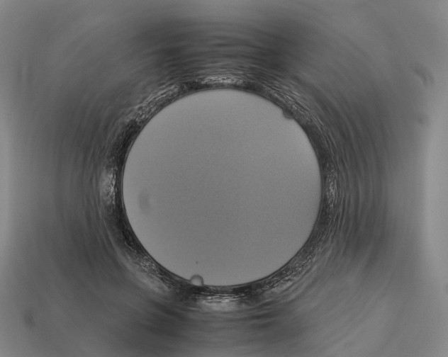 X0000113110551200909251054