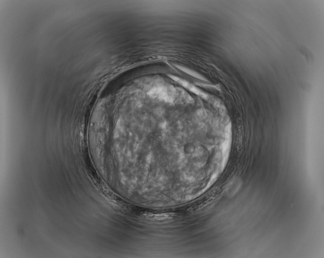 X0000113110553200909251054