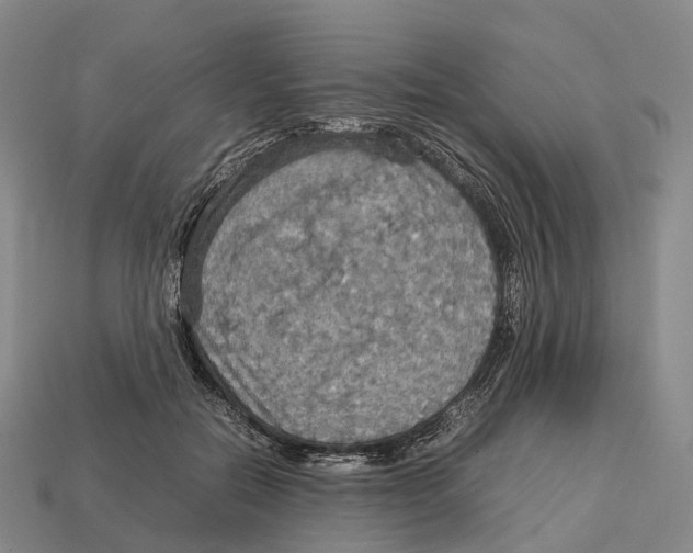 X0000113110554200909251054