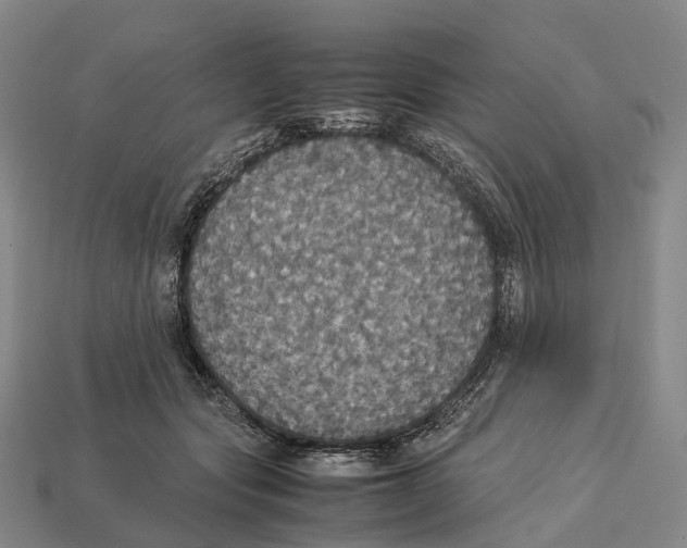 X0000113110557200909251054