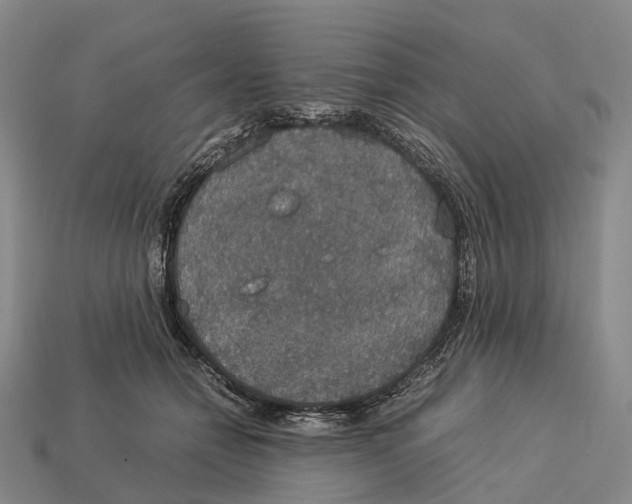 X0000113110558200909251054