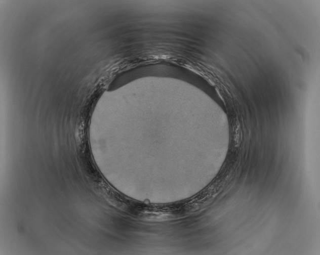 X0000113110559200909251054