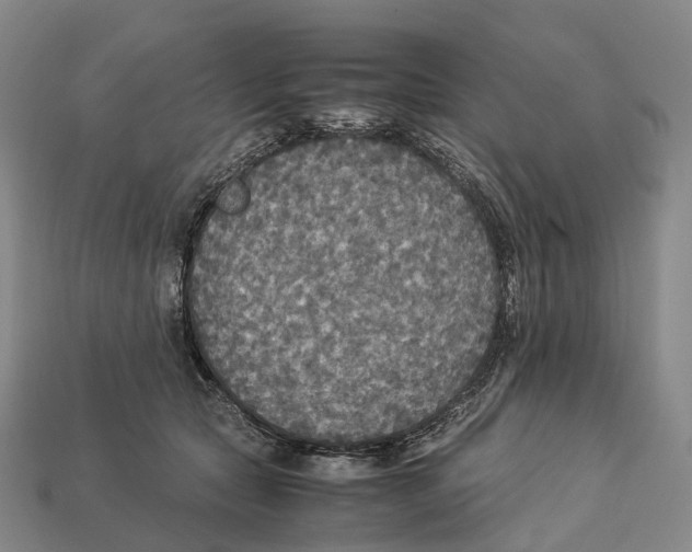 X0000113110561200909251054
