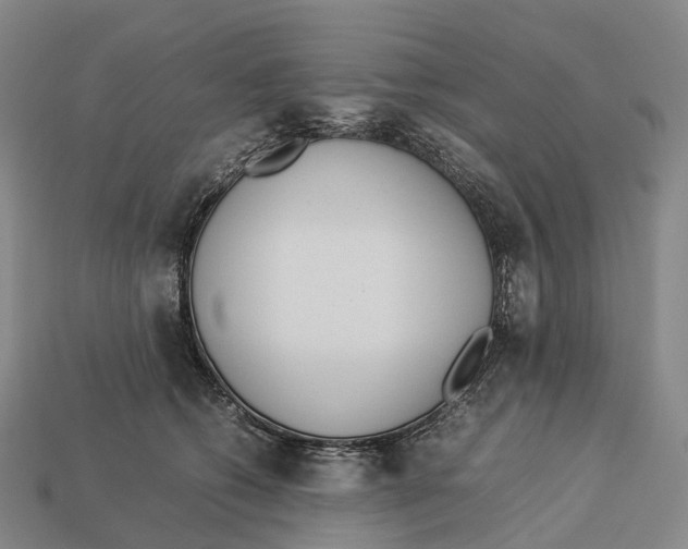 X0000113110562200909251054