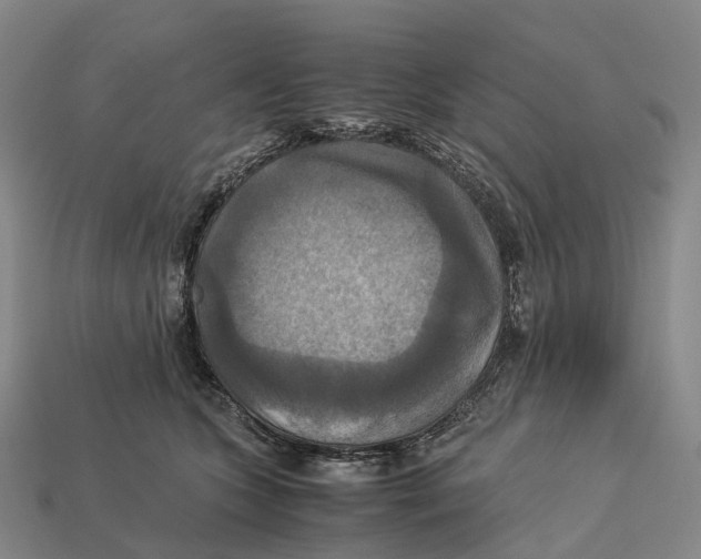 X0000113110563200909251054