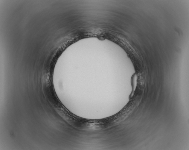 X0000113110564200909251054