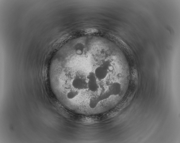 X0000113110565200909251055